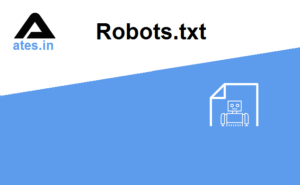 what is robots.txt file